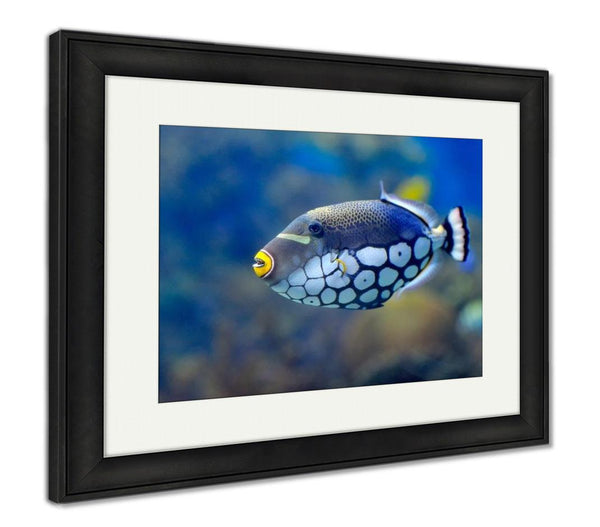Framed Print, Underwater Image Of Tropical Fishes - get-accessories